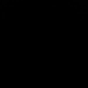 Meet your Posher, Gracie